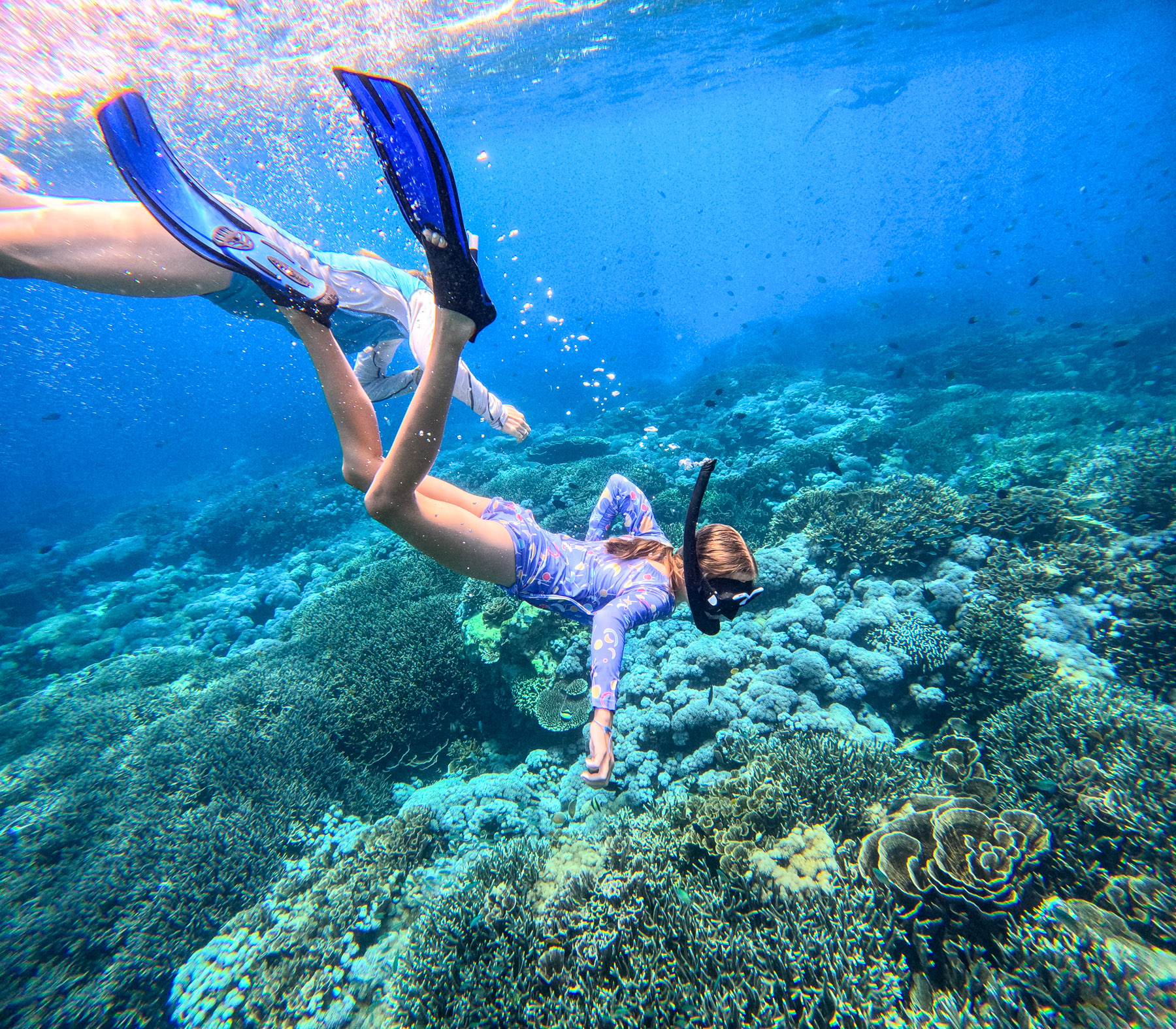 Snorkelling guests of the Katharina luxury phinisi in Indonesia