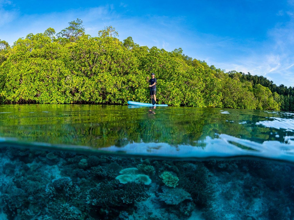 paddleboarding from the Majik phinisi in Indonesia