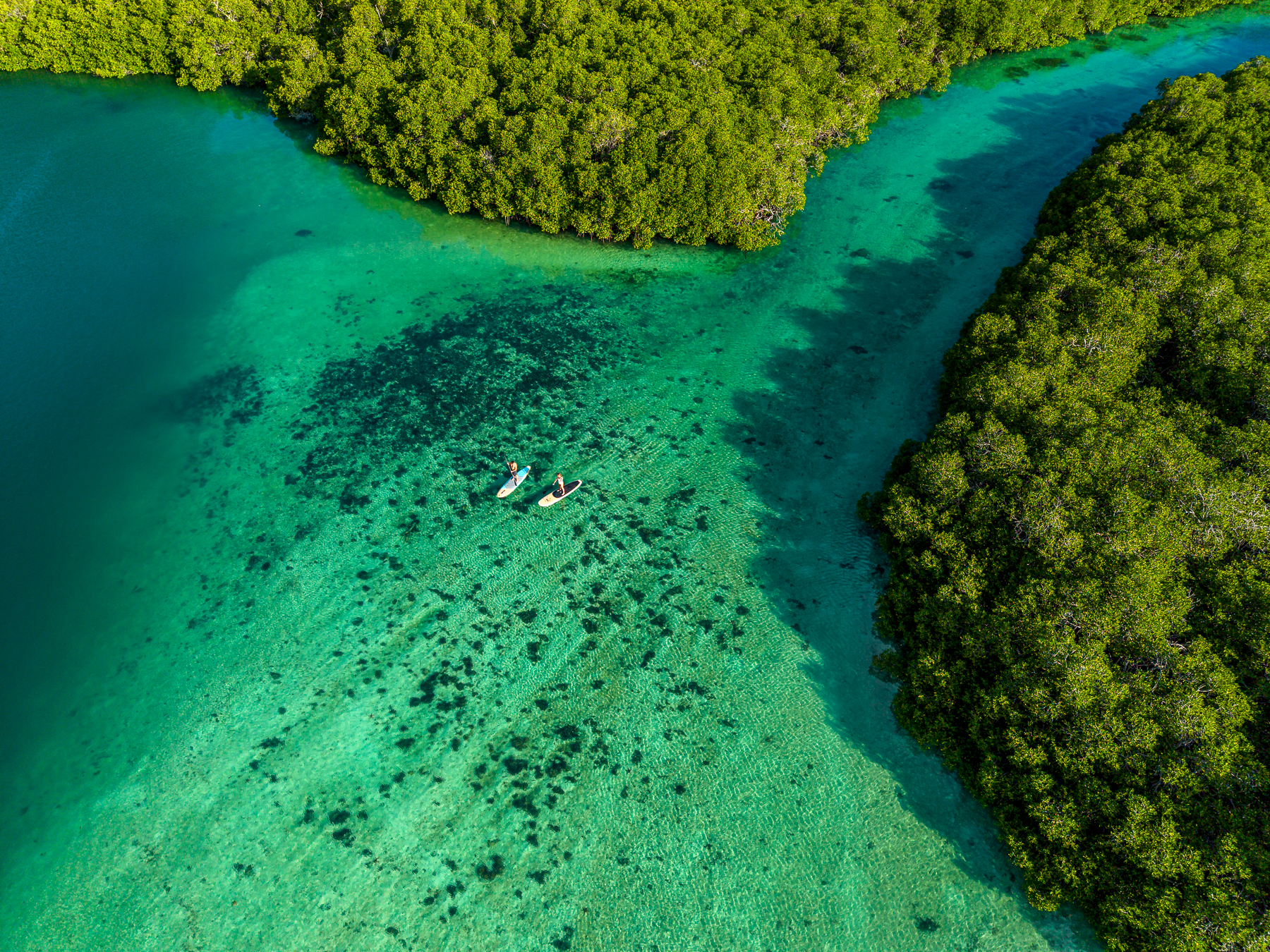 Paddleboarding at NIHI Rote in Indonesia