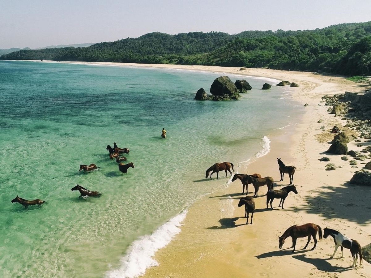 Horses on the beach at Nihi Sumba Indonesia
