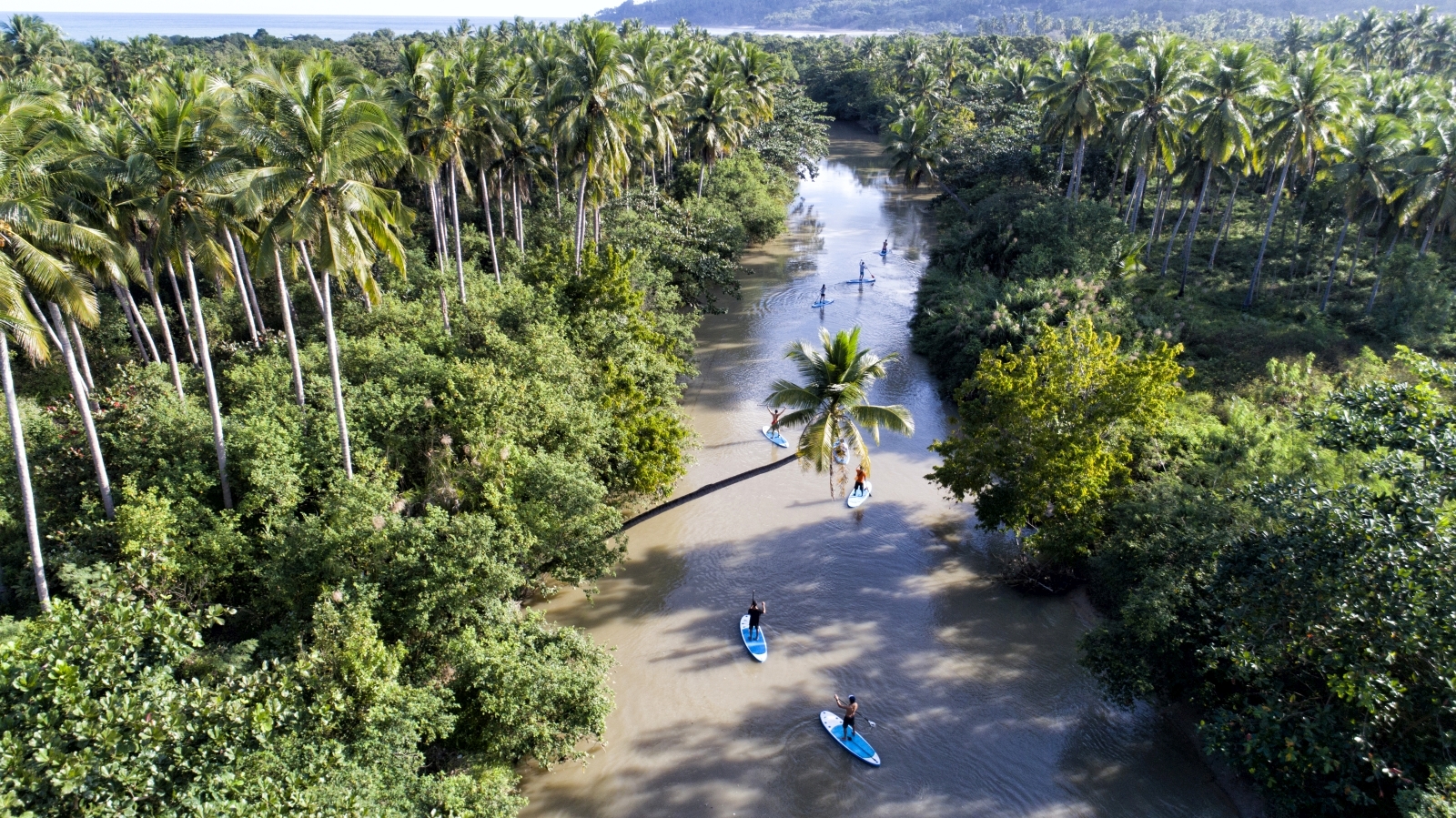Group of Paddleboarders on a jungle river