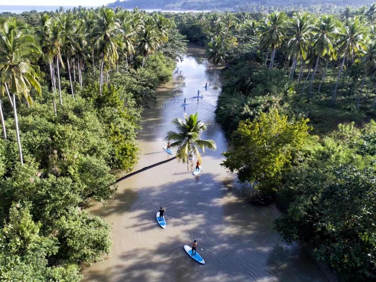 Group of Paddleboarders on a jungle river