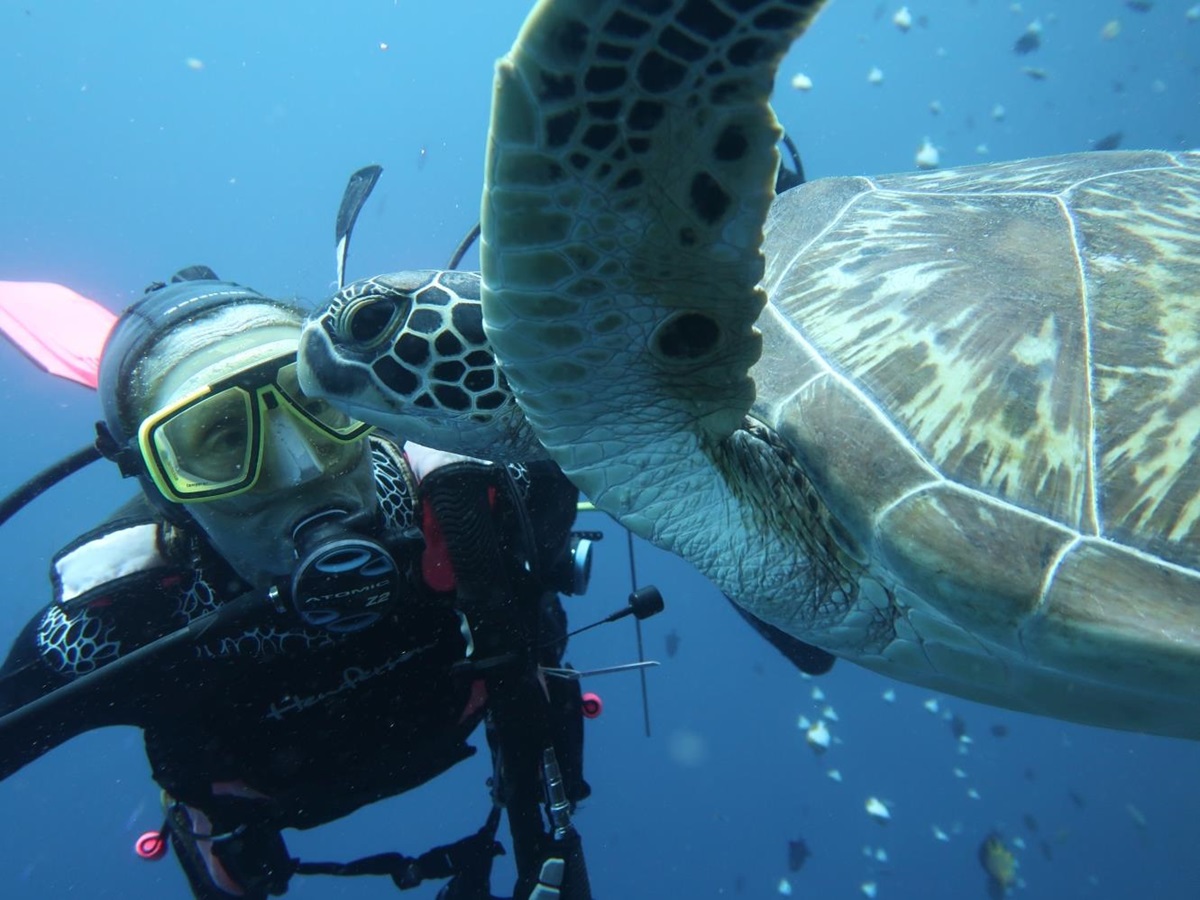 Diver underwater at hotel Siladen in Indonesia up close to a turtle