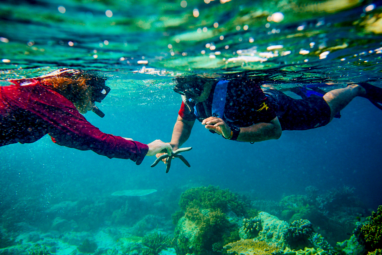 Diving in Raja Ampat from the Silolona phinisi in Indonesia