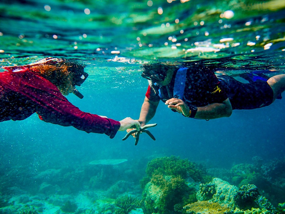 Diving in Raja Ampat from the Silolona phinisi in Indonesia