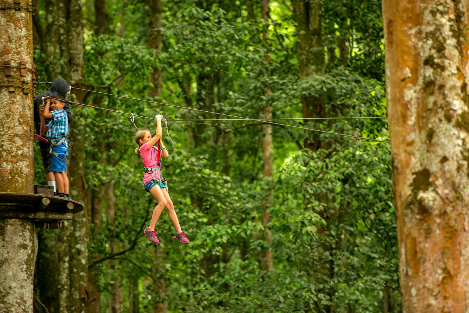 Treetop walking in Bedugal in Indonesia