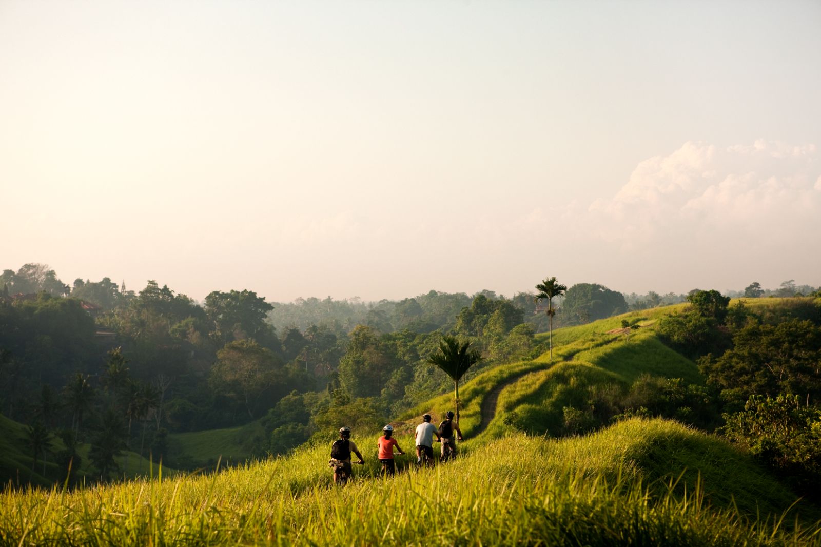 Cycling through rice terraces in Indonesia