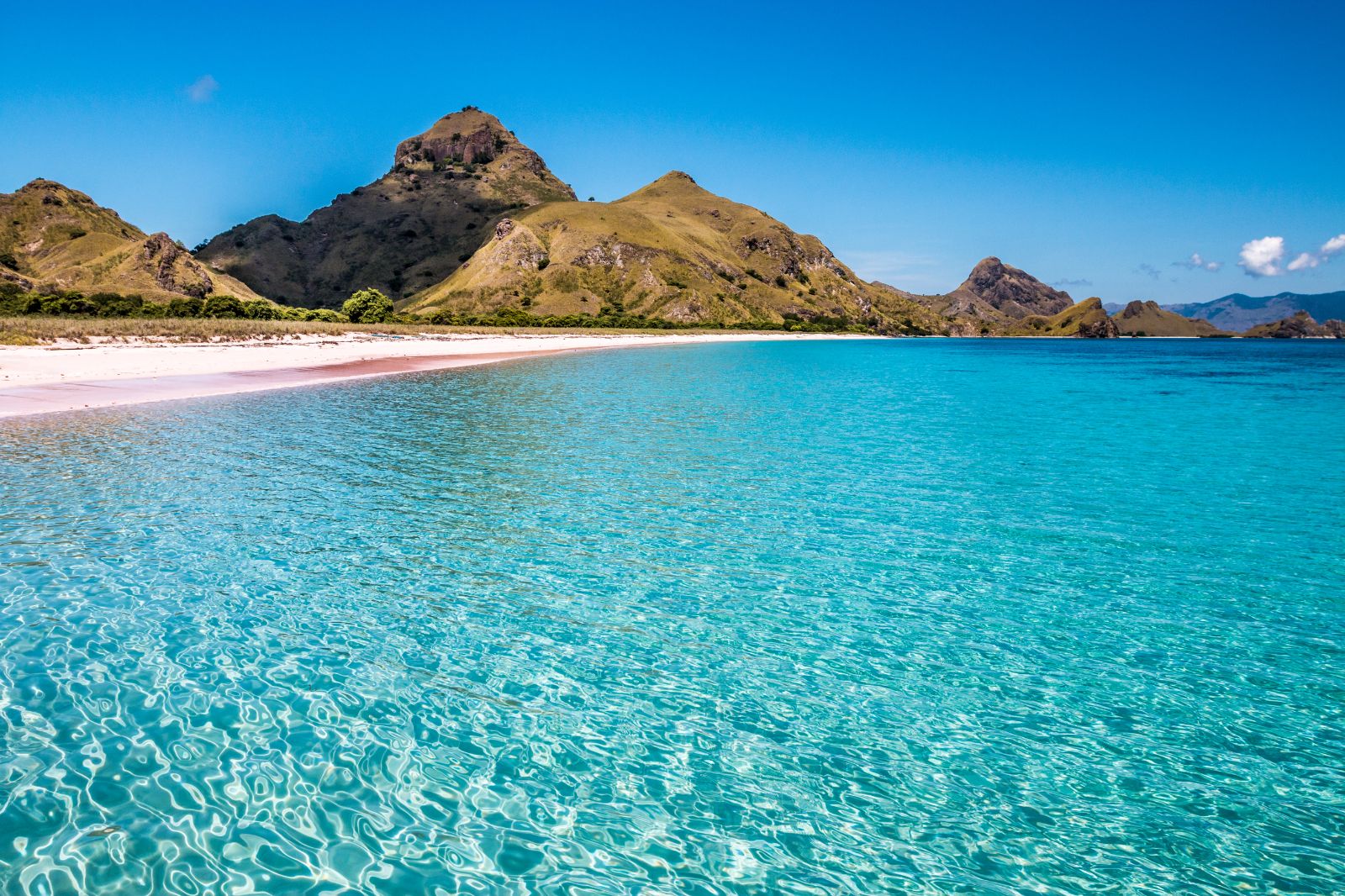 Pink beach on the Komodo Islands in Indonesia