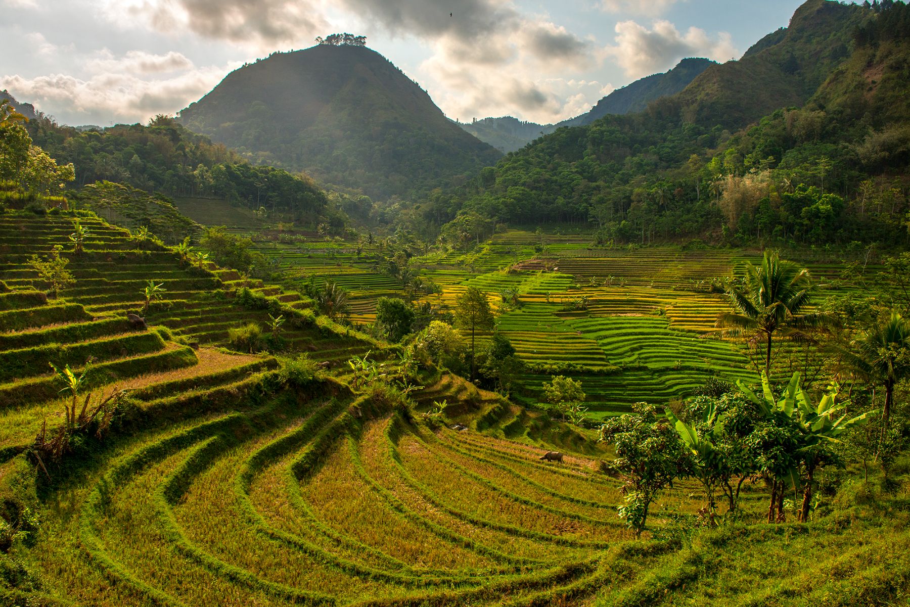 Islands & Highlands of Java | Luxury Indonesia Vacation | Red Savannah