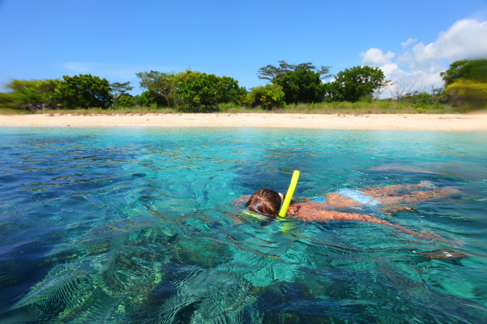 Snorkelling in the waters of Indonesia