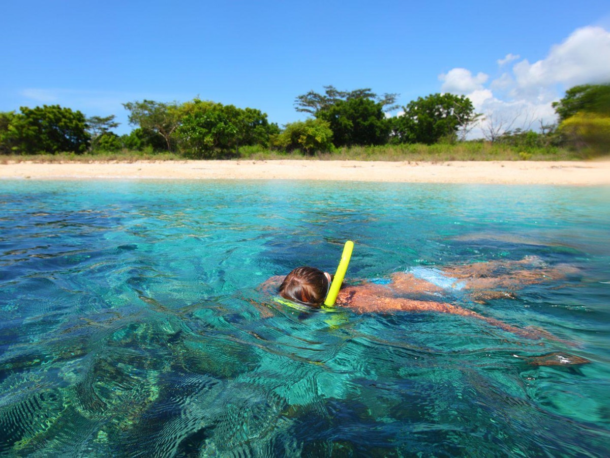 Snorkelling in the waters of Indonesia