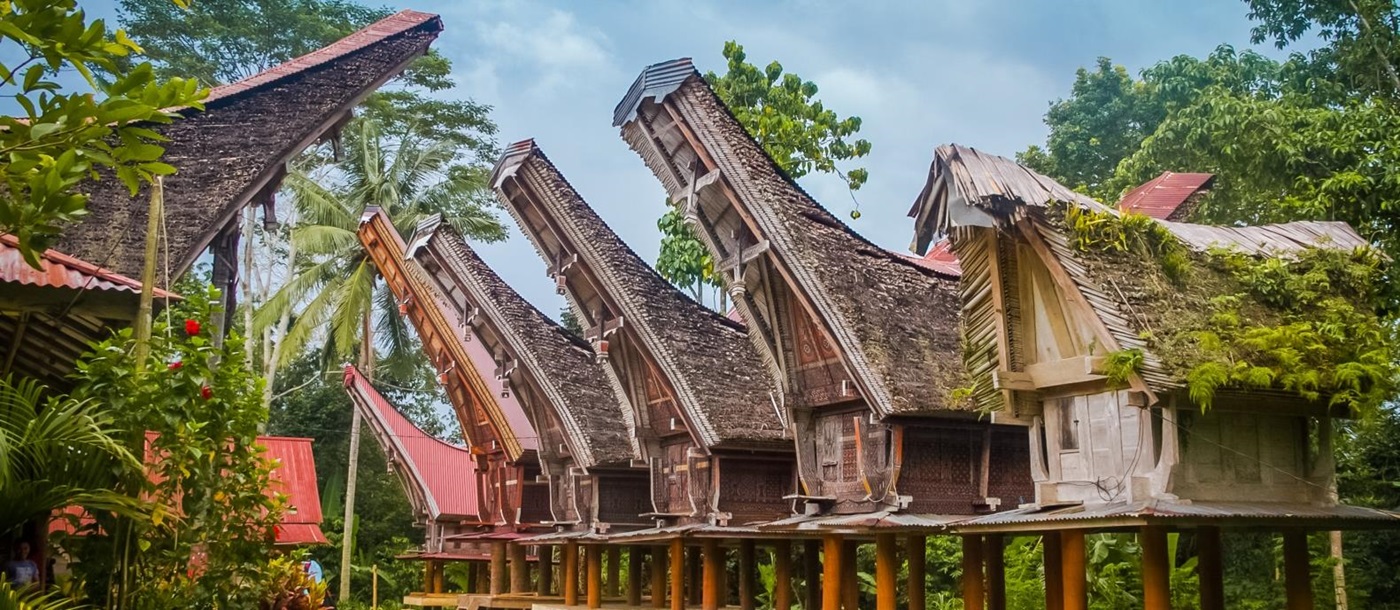 A row of traditional Toraja barns