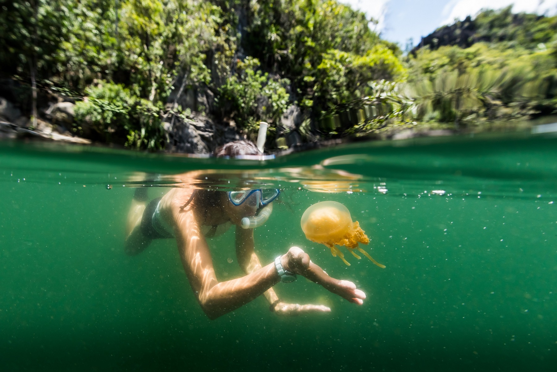 Snorkelling with jellyfish in Lake Misoo, Indonesia