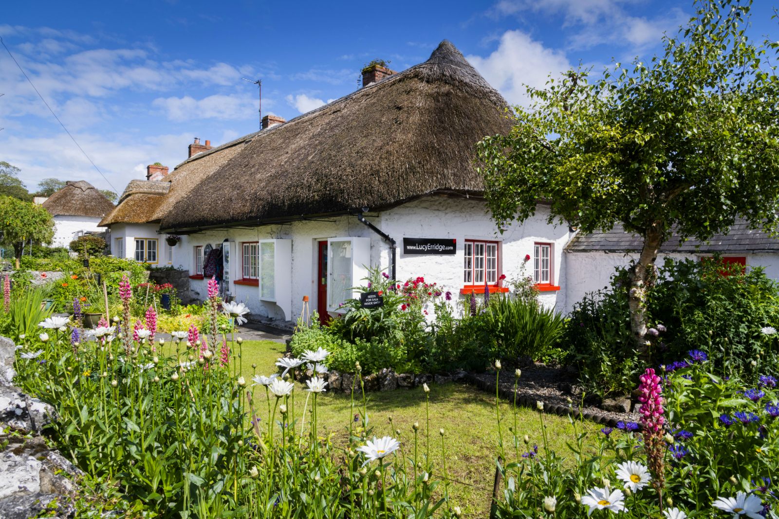 Adare Cottage in Ireland