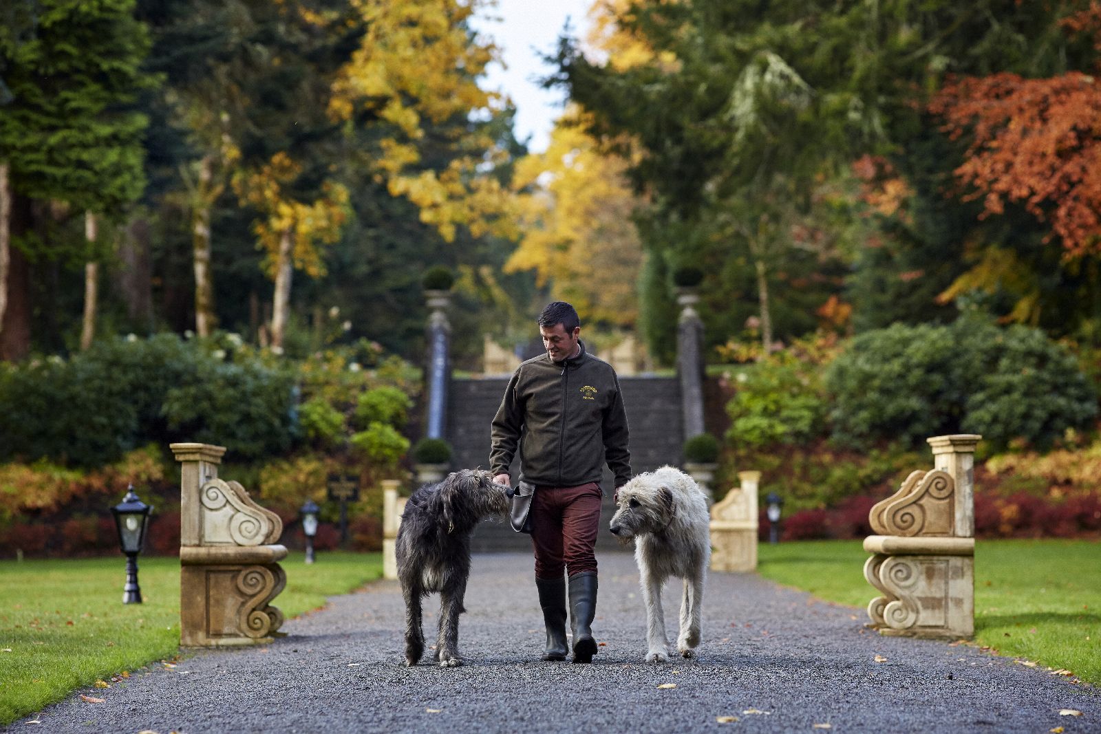 Estate keeper and Irish wolfhounds at Ashford Castle in County Mayo Ireland