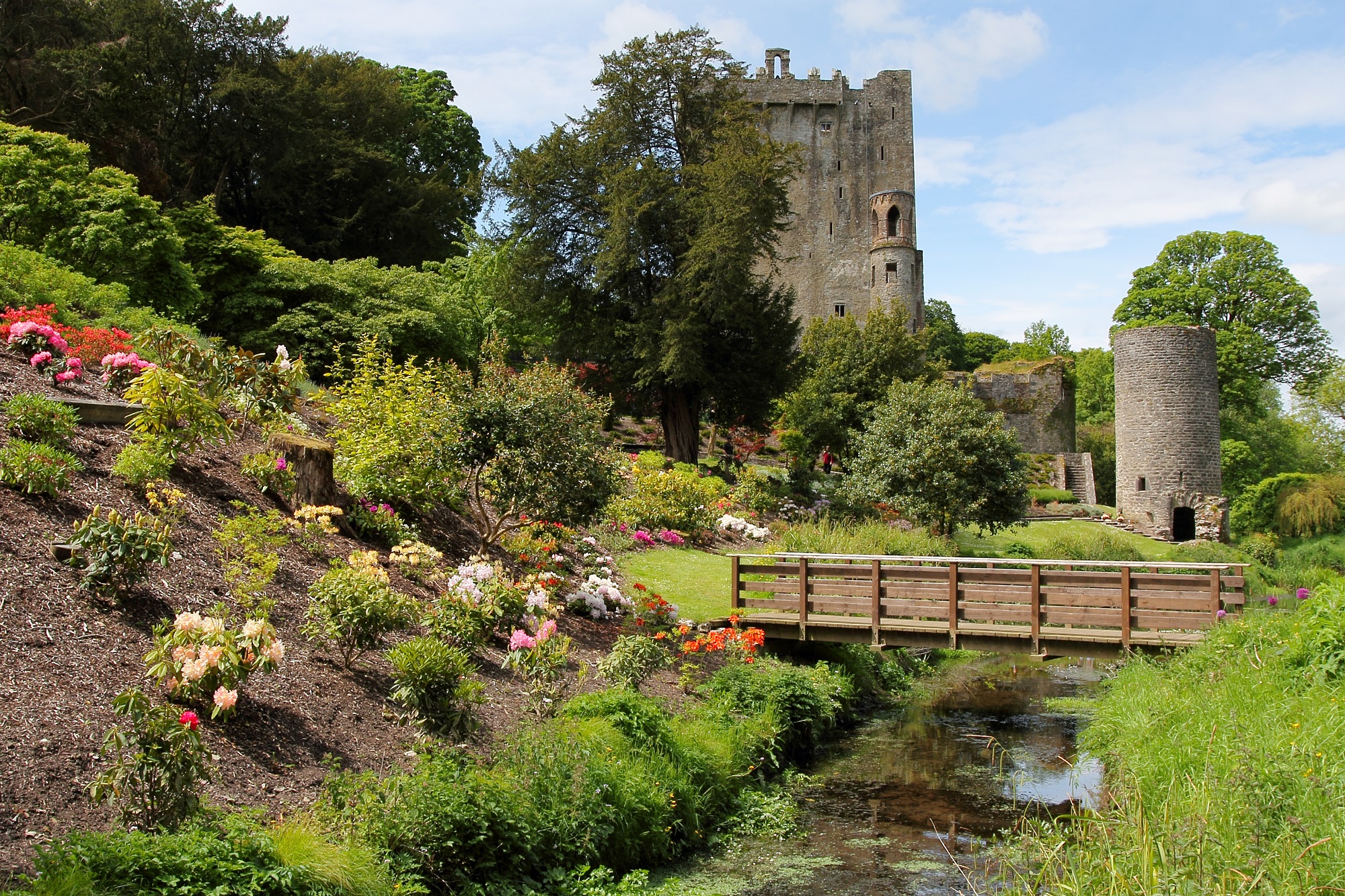 Blarney Castle Bridge, County Cork, Ireland