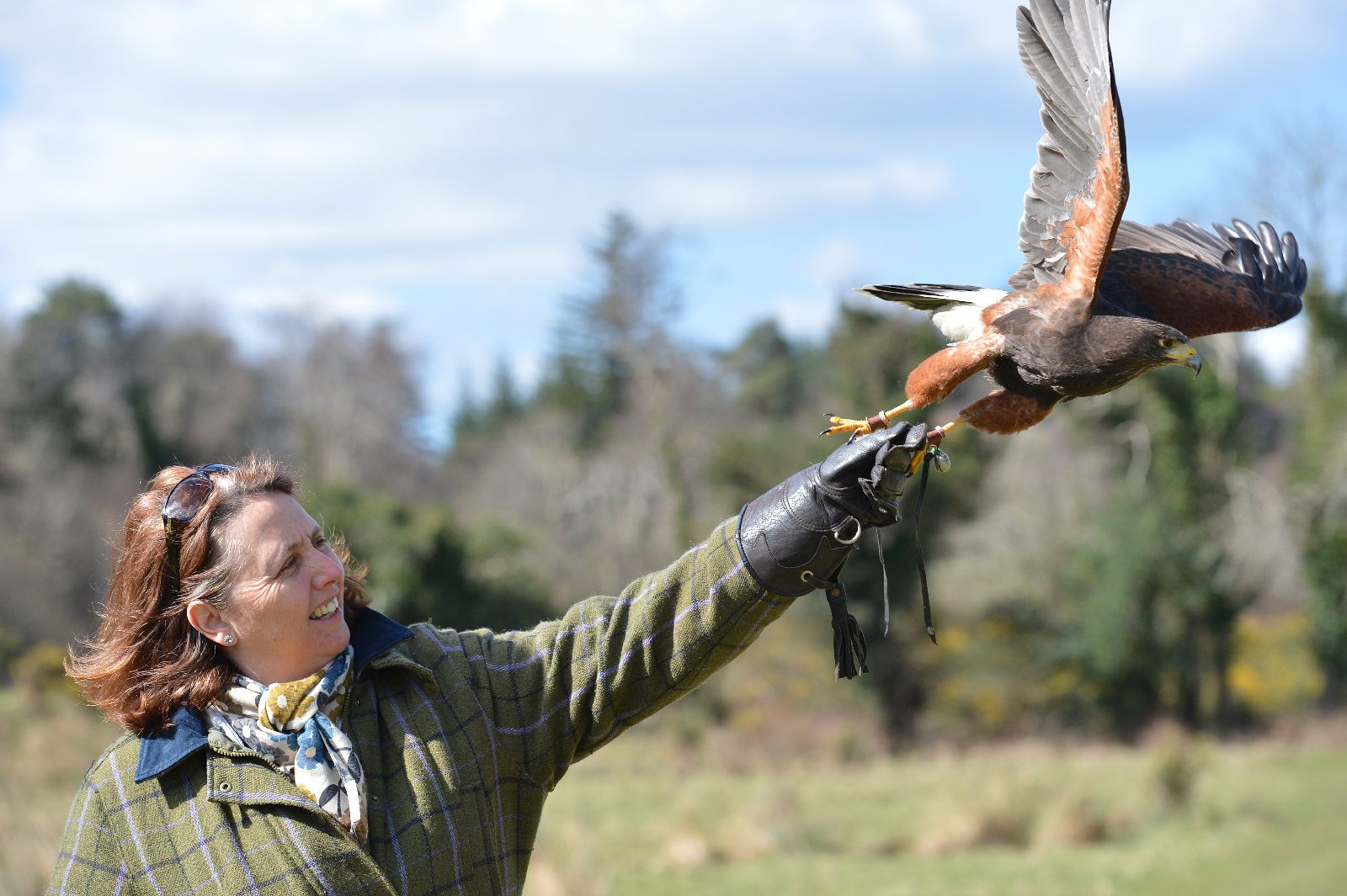 Falconry display at Sheen Falls Lodge Kerry Ireland