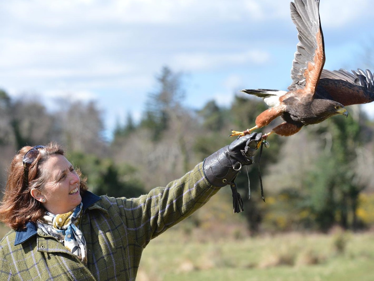 Falconry display at Sheen Falls Lodge Kerry Ireland