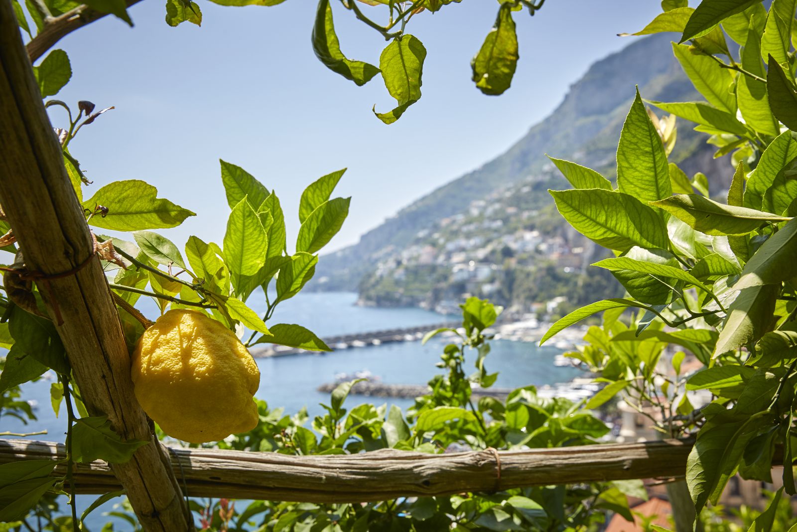 Lemon trees and coastal views from Belmond Hotel Caruso in Ravello Italy