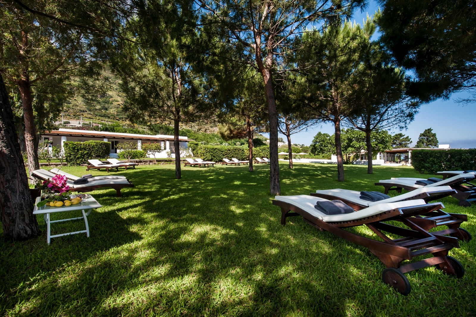 Lawn and loungers at Capofaro