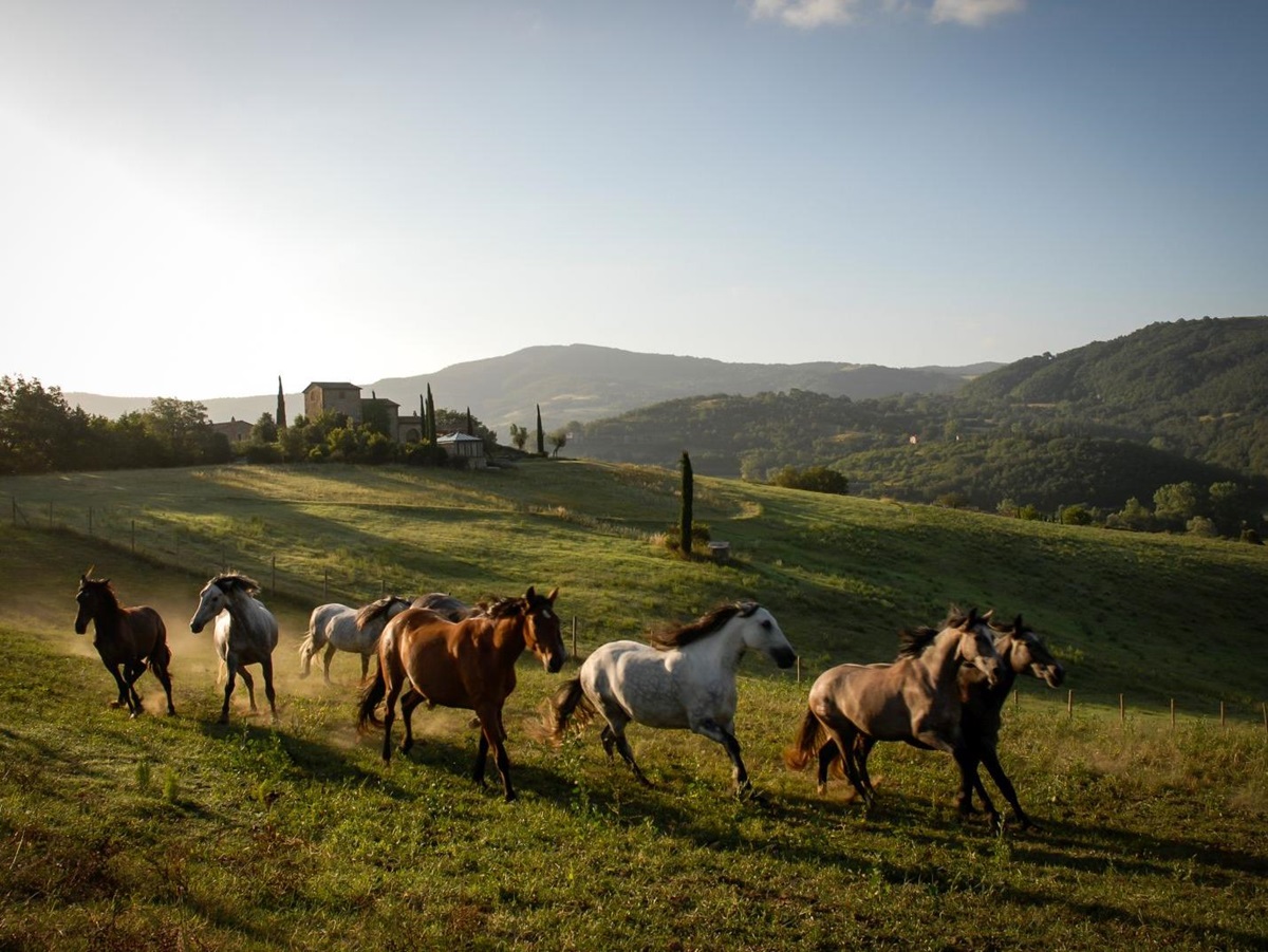 Horses galloping through the grounds of the Castello di Reschio estate in Umbria Italy