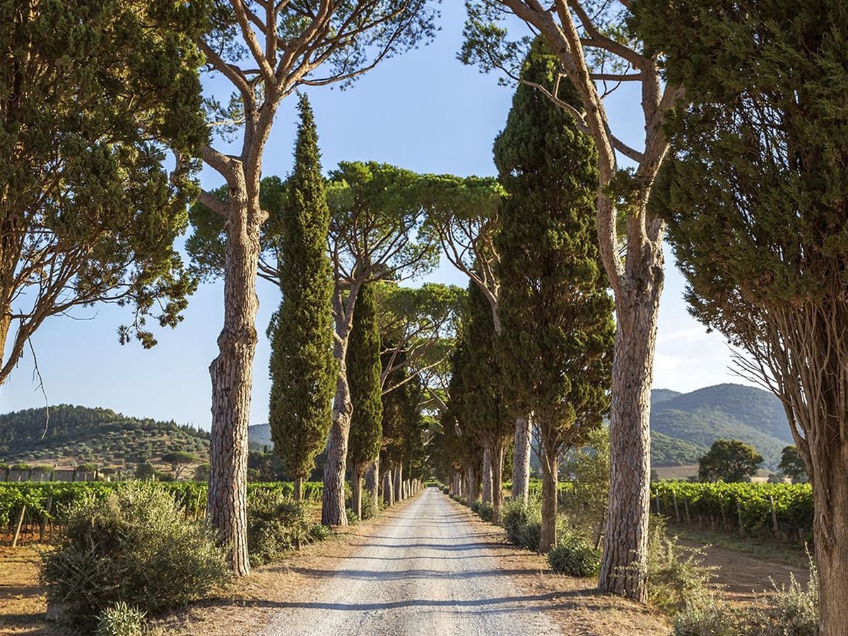 Grounds and countryside surrounding Hotel L'Andana in Tuscany