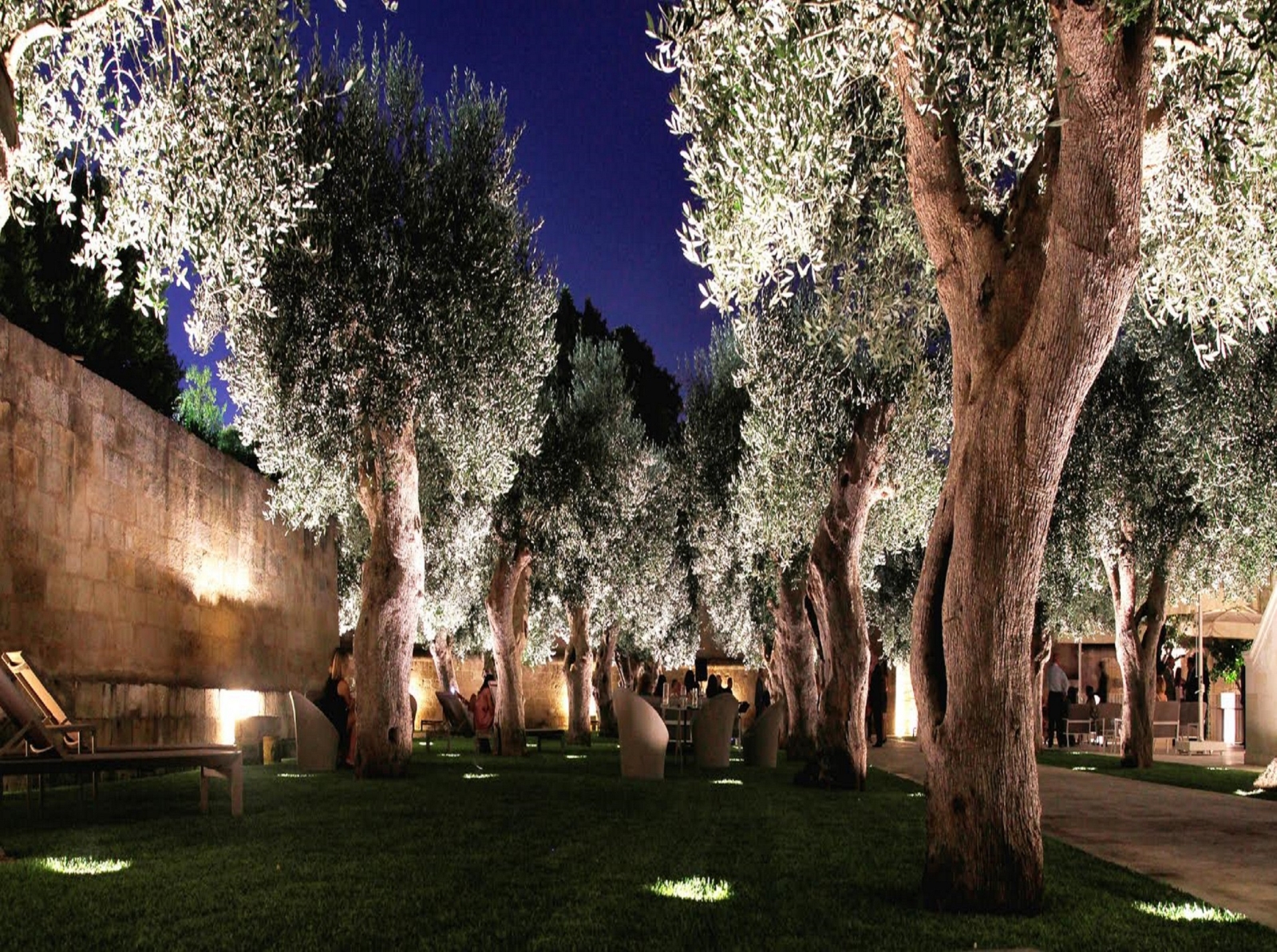 Evening trees at La Fiermontina