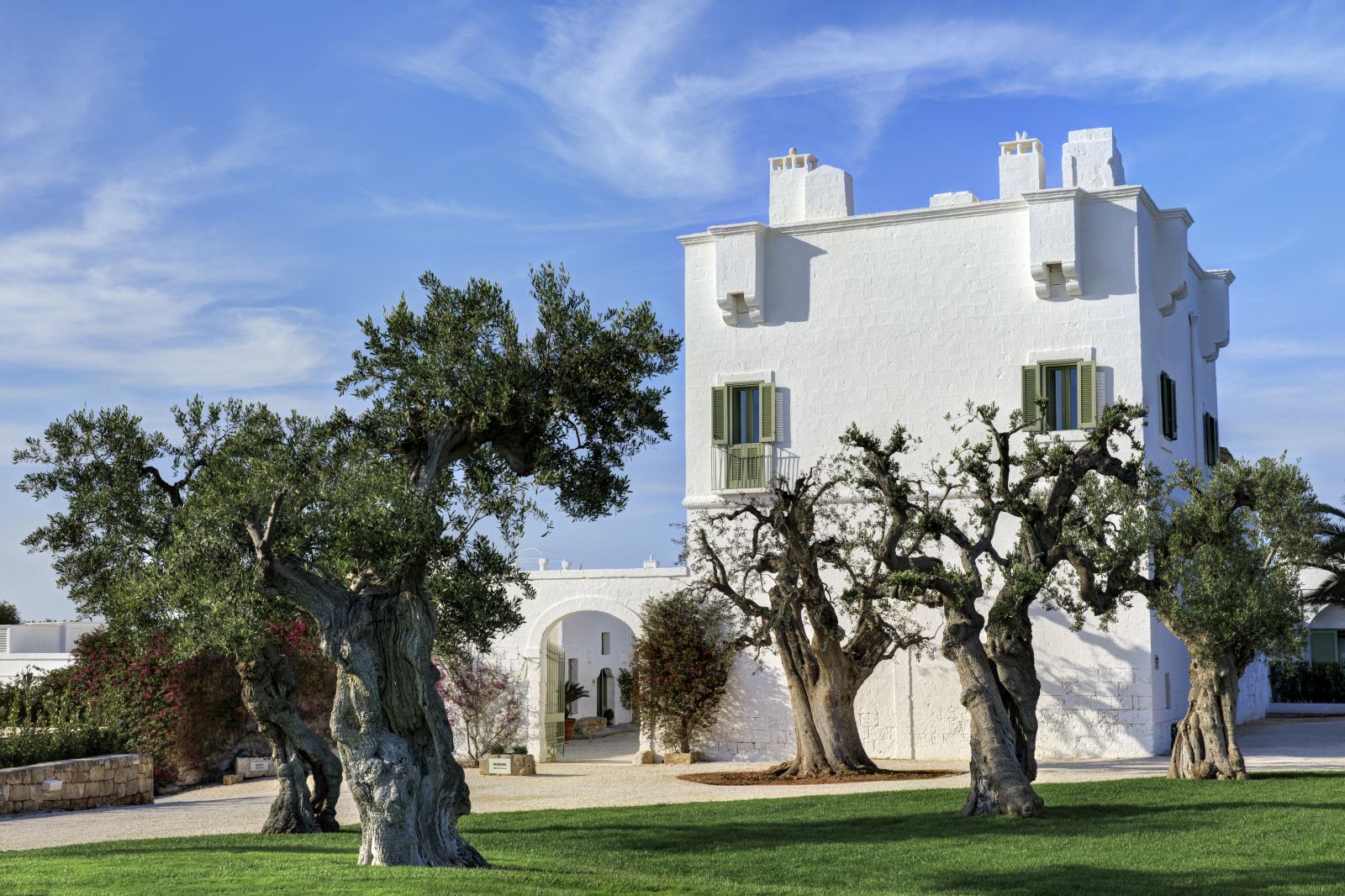 Hotel Masseria Torre Maizza in Puglia surrounded by olive trees