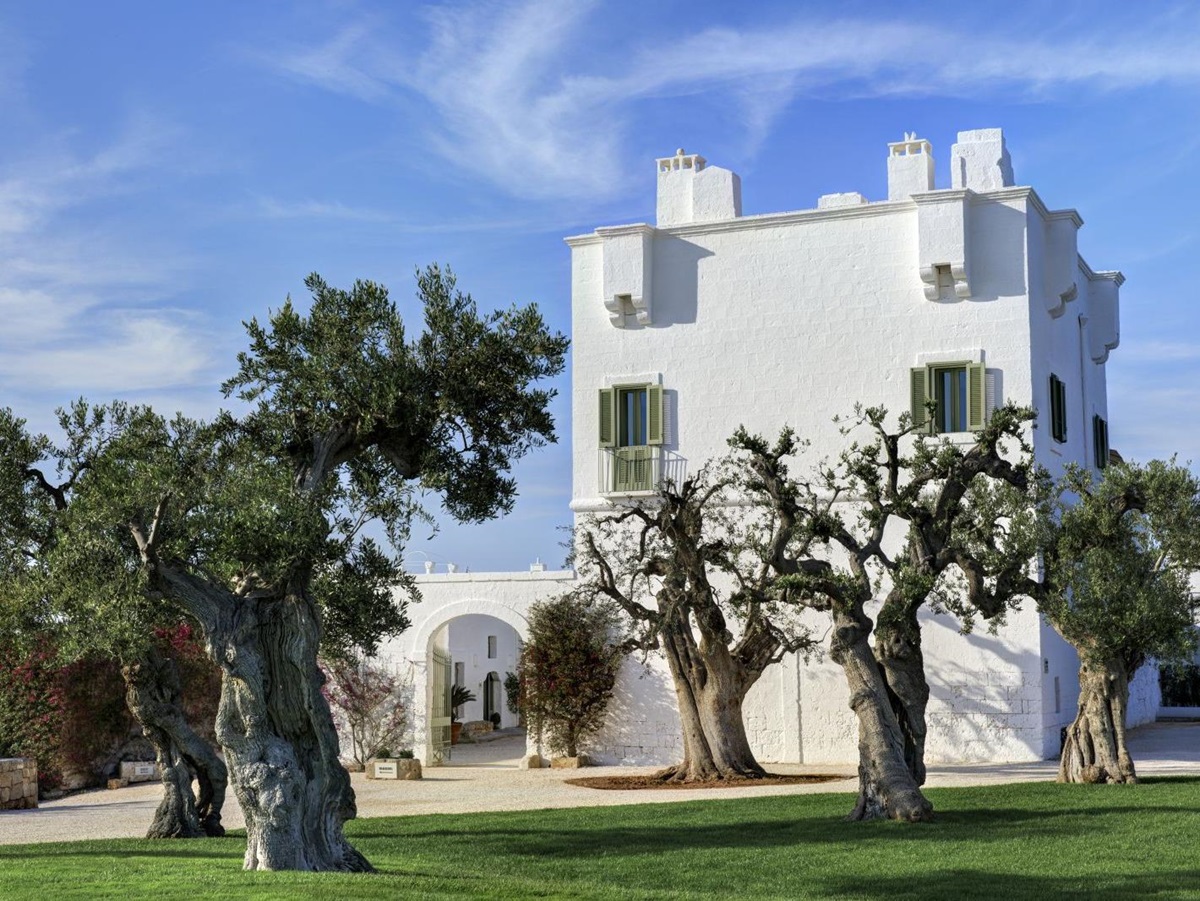 Hotel Masseria Torre Maizza in Puglia surrounded by olive trees
