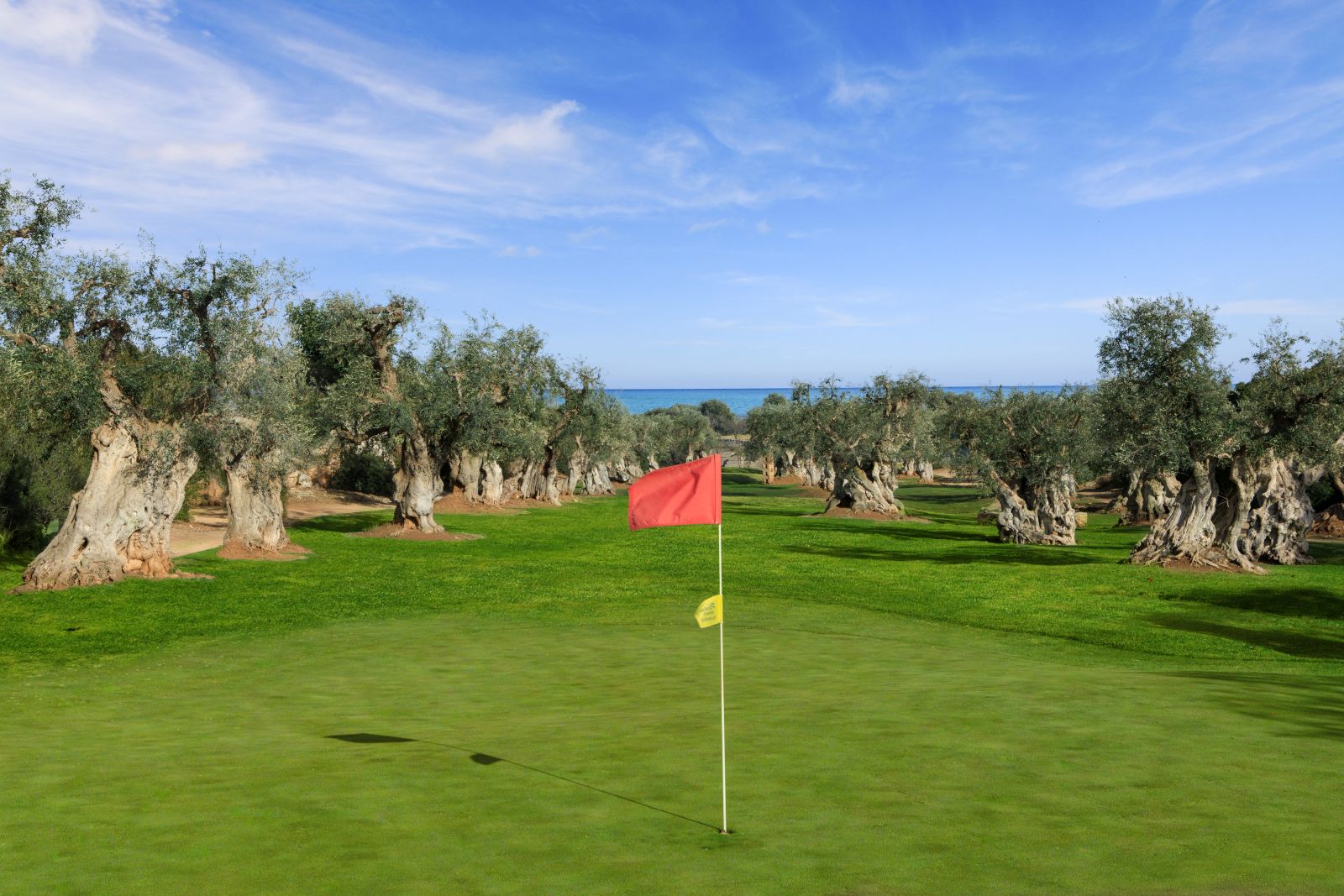 Olive tree lined golf course at Masseria Torre Maizza in Puglia