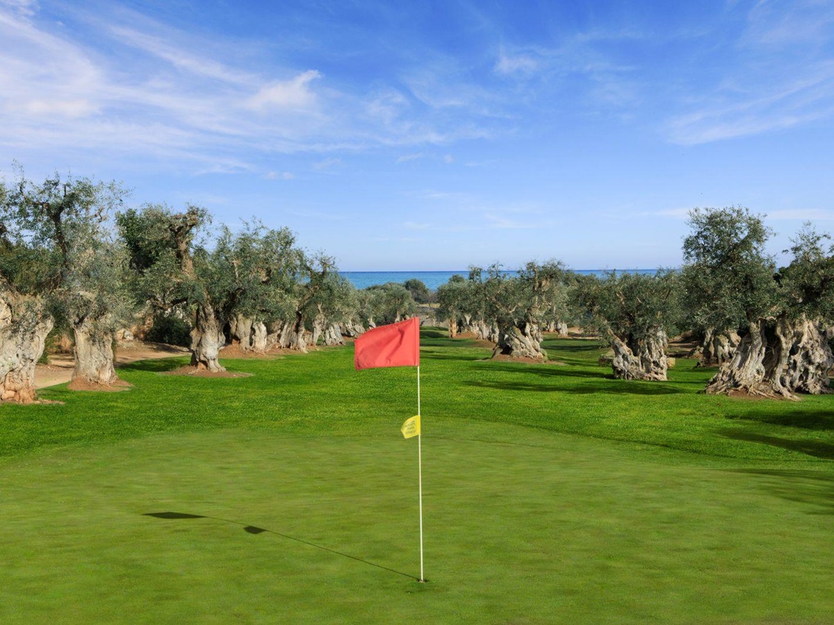 Olive tree lined golf course at Masseria Torre Maizza in Puglia