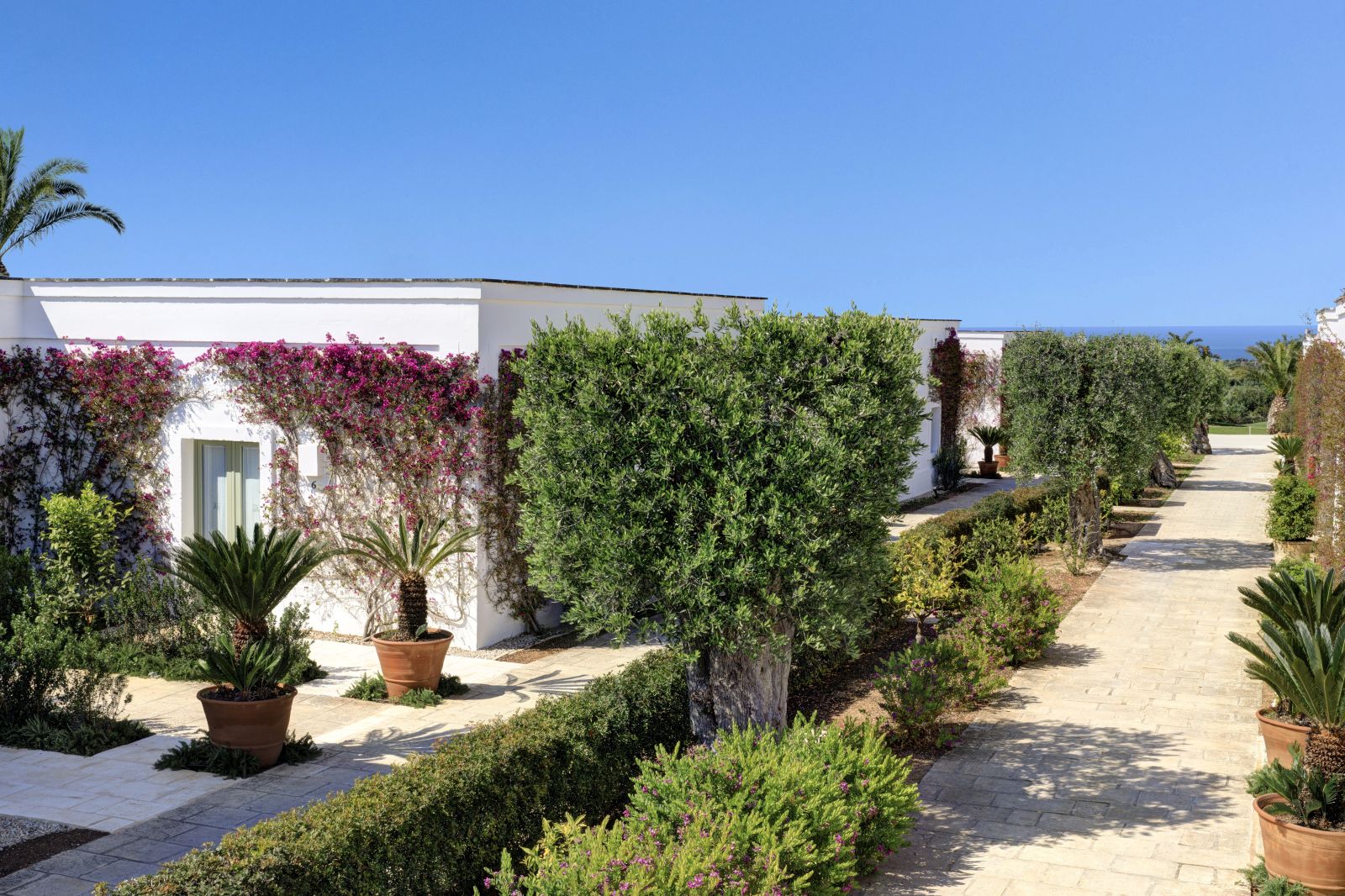 Guest rooms and grounds of hotel Masseria Torre Maizza in Puglia