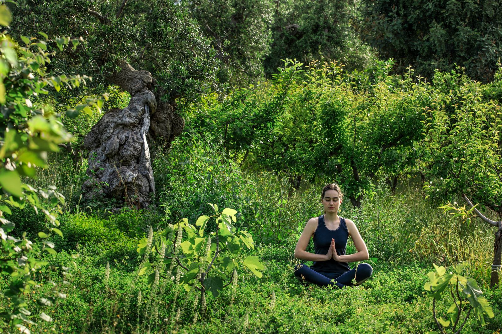 Yoga in nature at Masseria Torre Maizza in Puglia