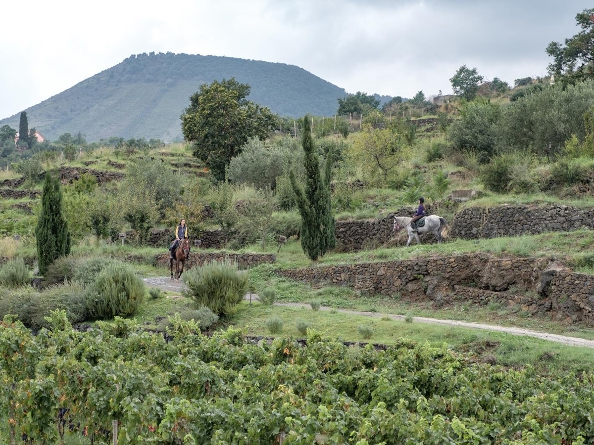 Landscape at Monaci delle Terre Nere