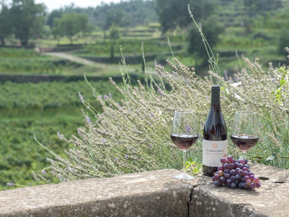 Wine at Monaci delle Terre Nere