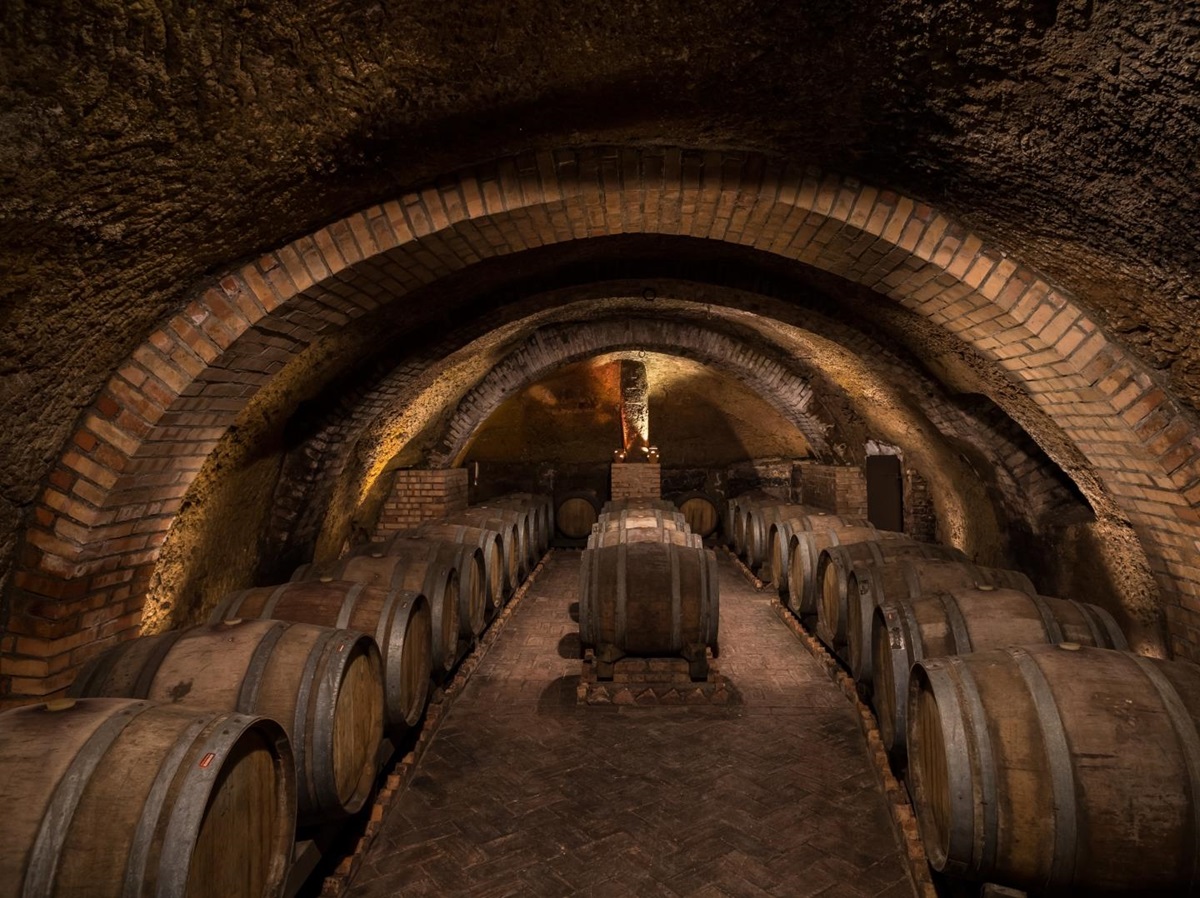 The vaulted wine cellar at Palazzo Margherita