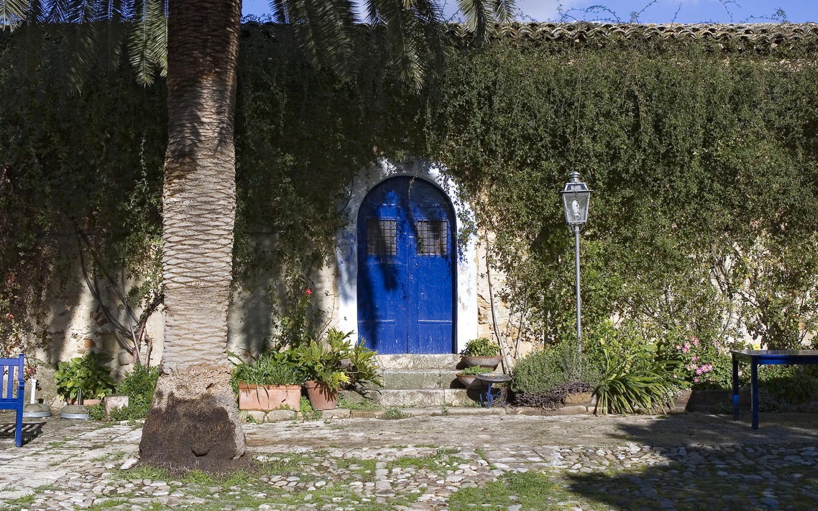 Blue door on a wall overgrown with ivy