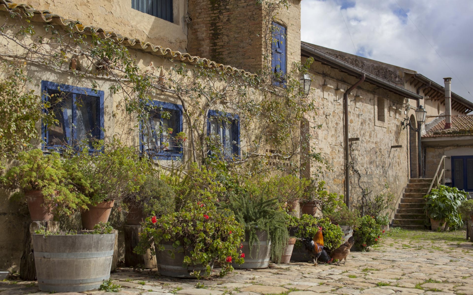 Side of Tenuta Reglaleali with blue windows and potted plants