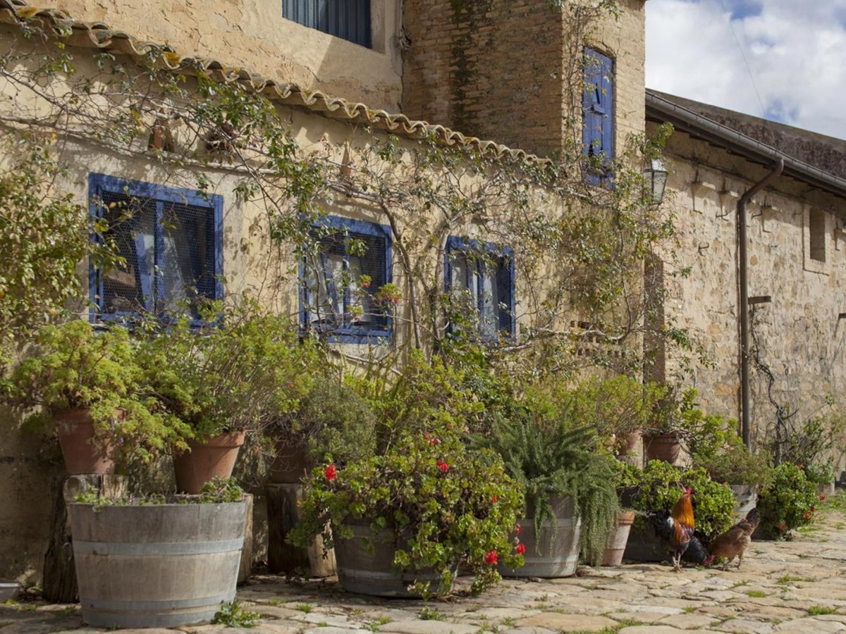Side of Tenuta Reglaleali with blue windows and potted plants