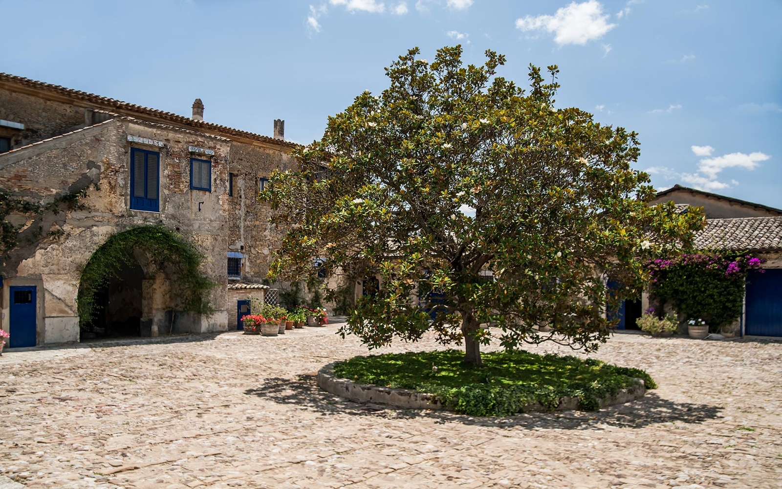 Square at Tenuta Reglaleali surrounded by old buildings and a lush green tree in the centre