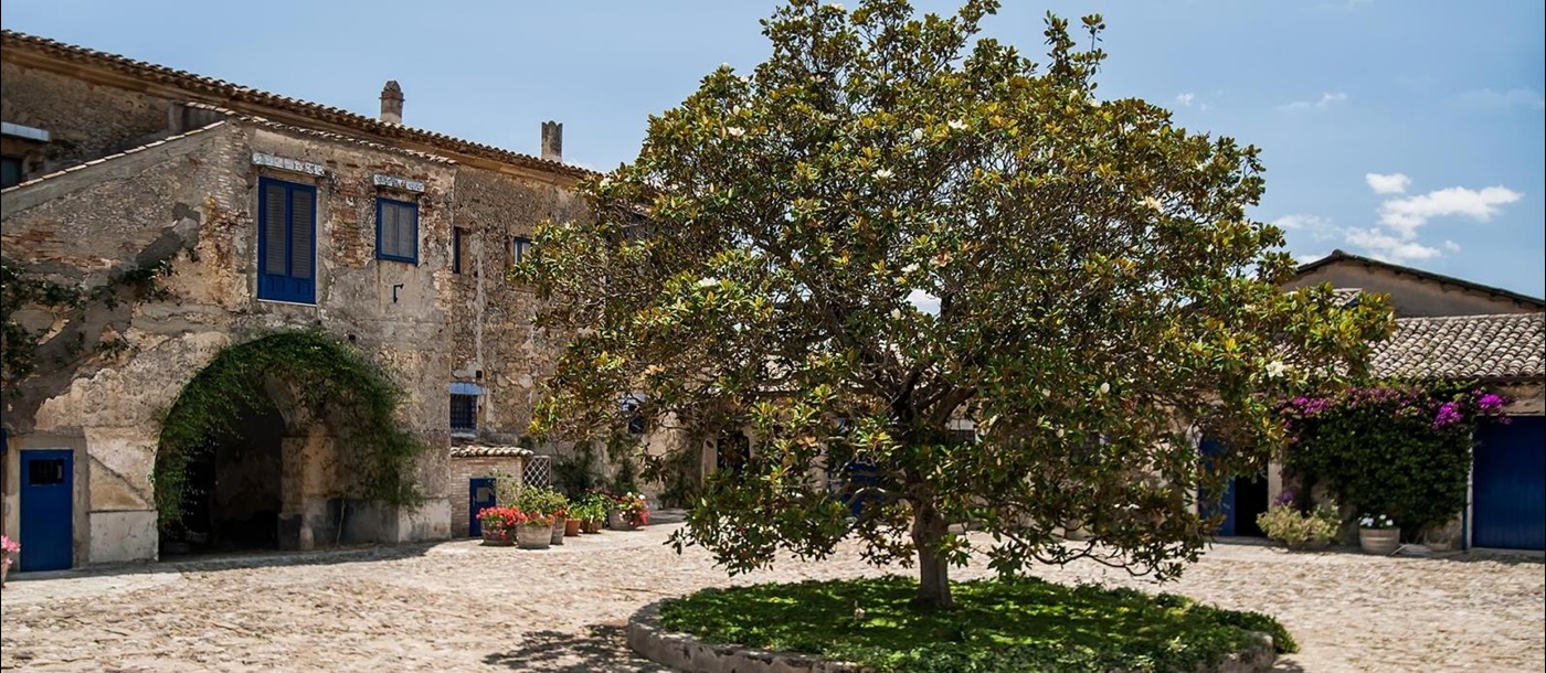 Square at Tenuta Reglaleali surrounded by old buildings and a lush green tree in the centre