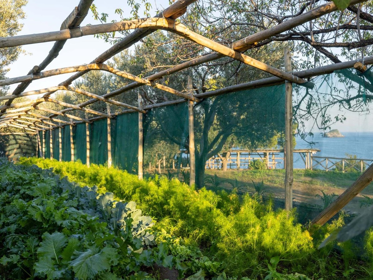 Vegetable garden at Isca Private Island in Amalfi, Italy