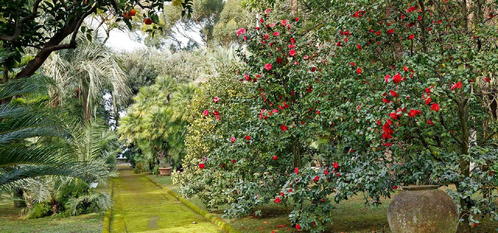 Gardens of Villa Astor Amalfi Italy