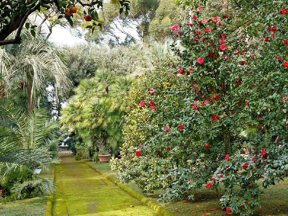 Gardens of Villa Astor Amalfi Italy