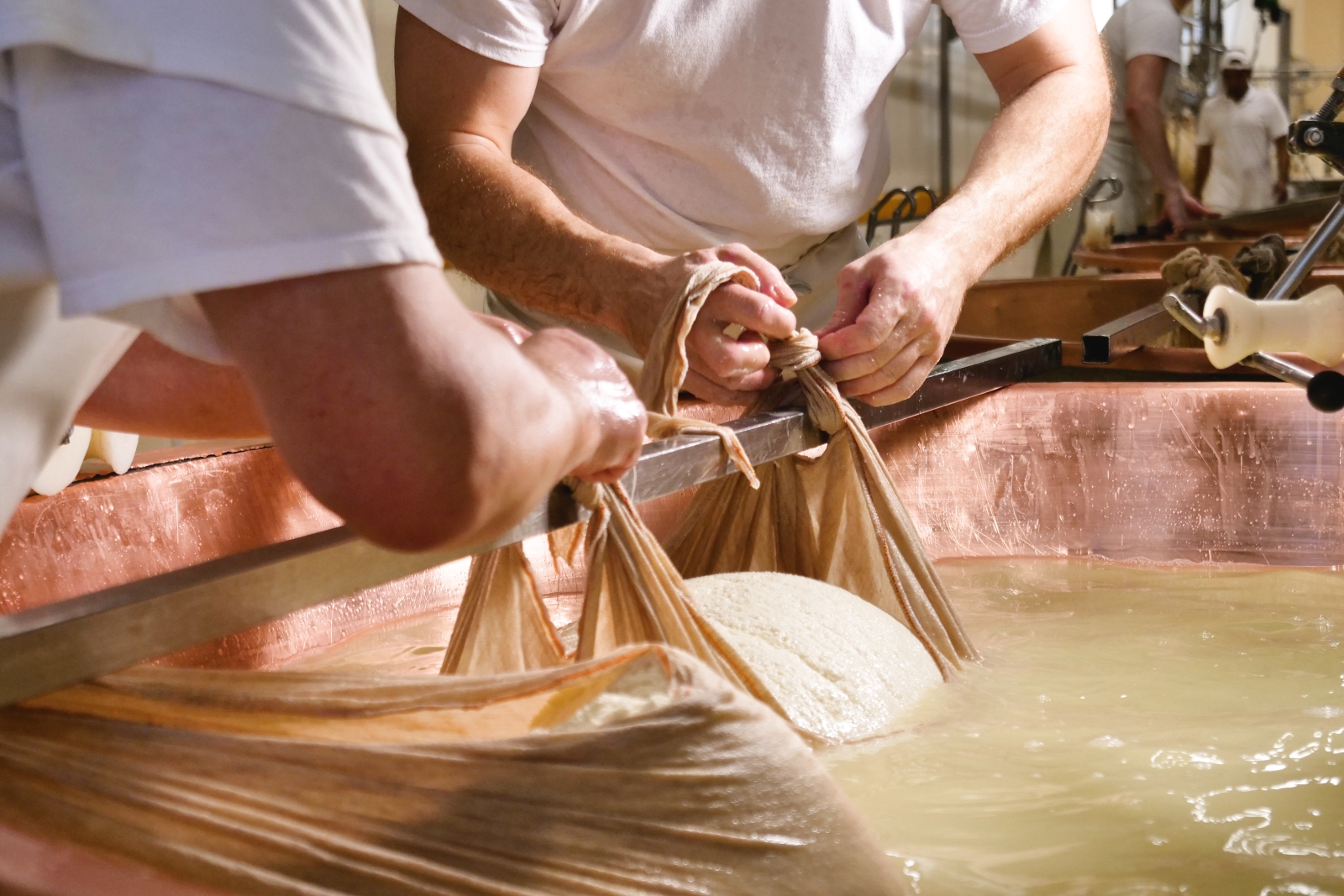 Cheese making near to Villa di Praiano on the Amalfi Coast, Italy