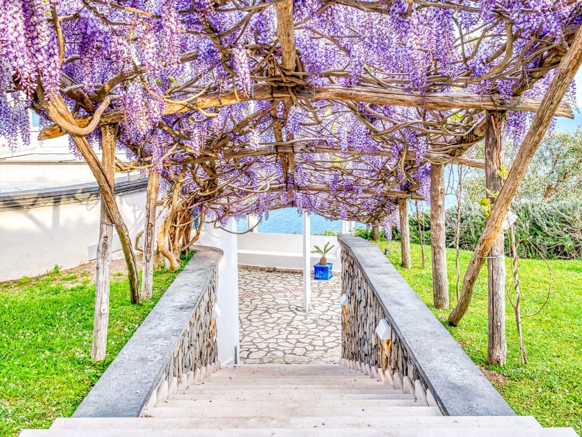 Outdoor stairs with lavender archway and views of the sea at Villa Li Galli in Amalfi