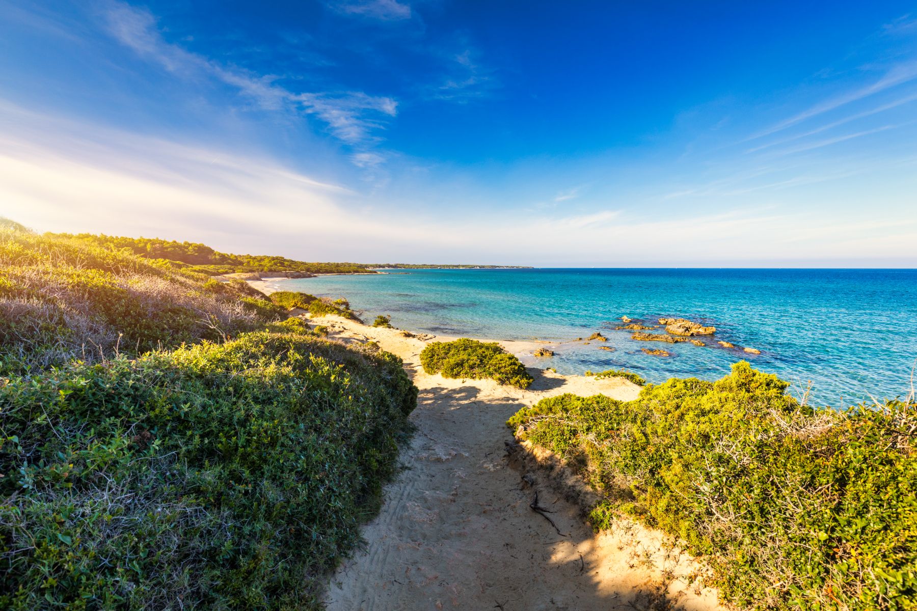 A pathway leading from the surrounding pine forest onto the Baia dei Turchi in Puglia