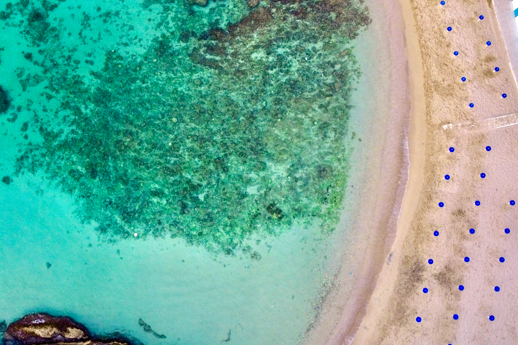 Aerial view of parasols belonging to a beach club in Monopoli