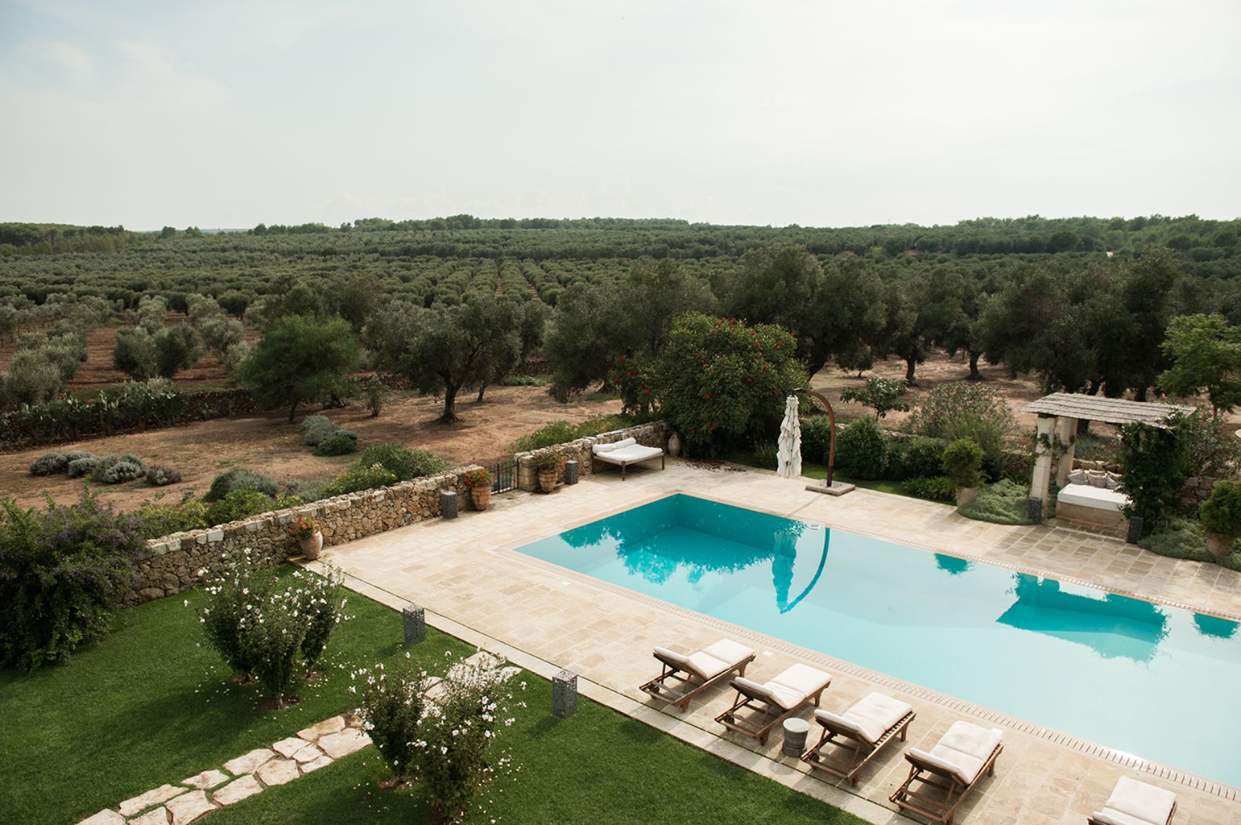 Swimming Pool View at Casa Calcare in Puglia