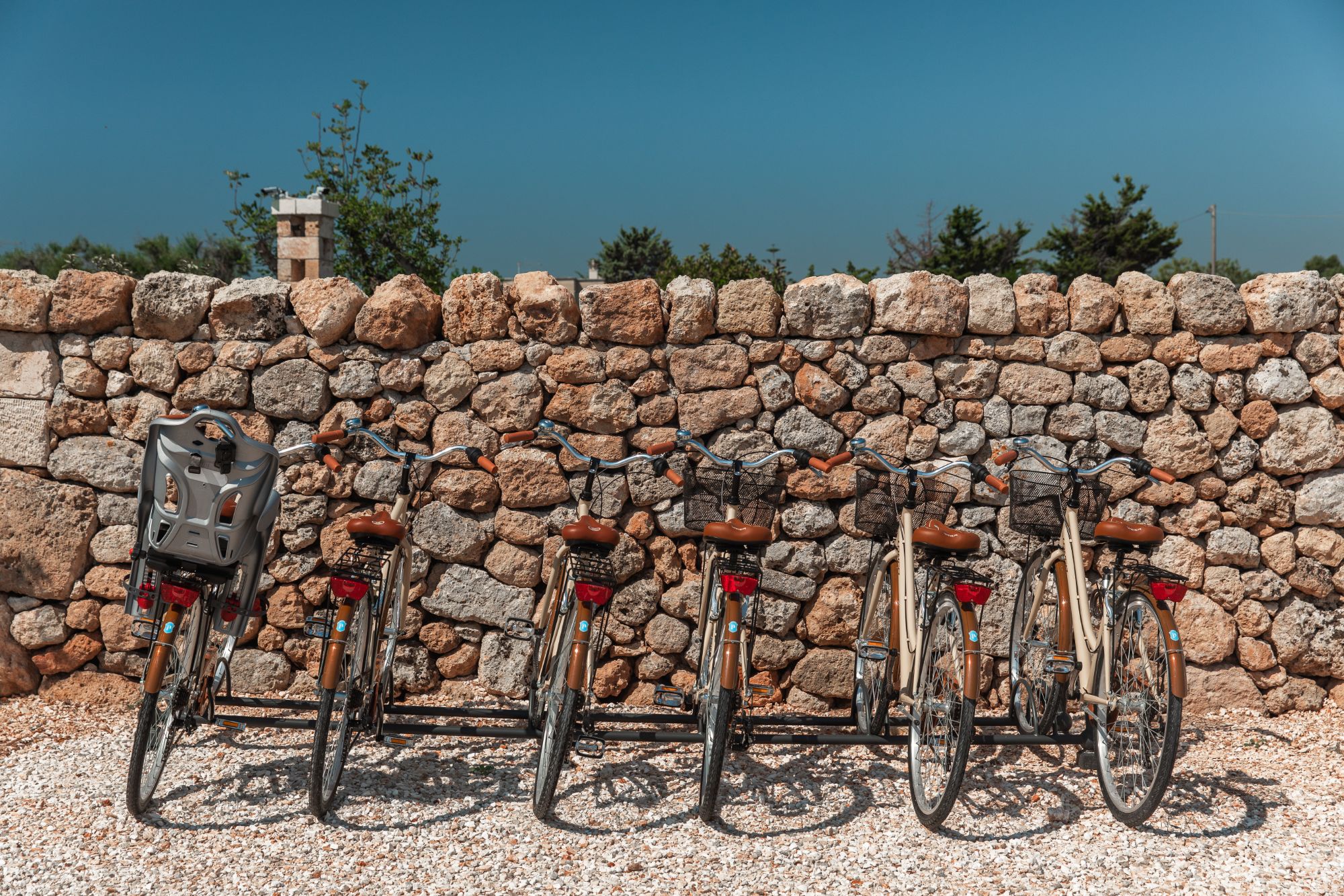 Bikes at La Piccola 